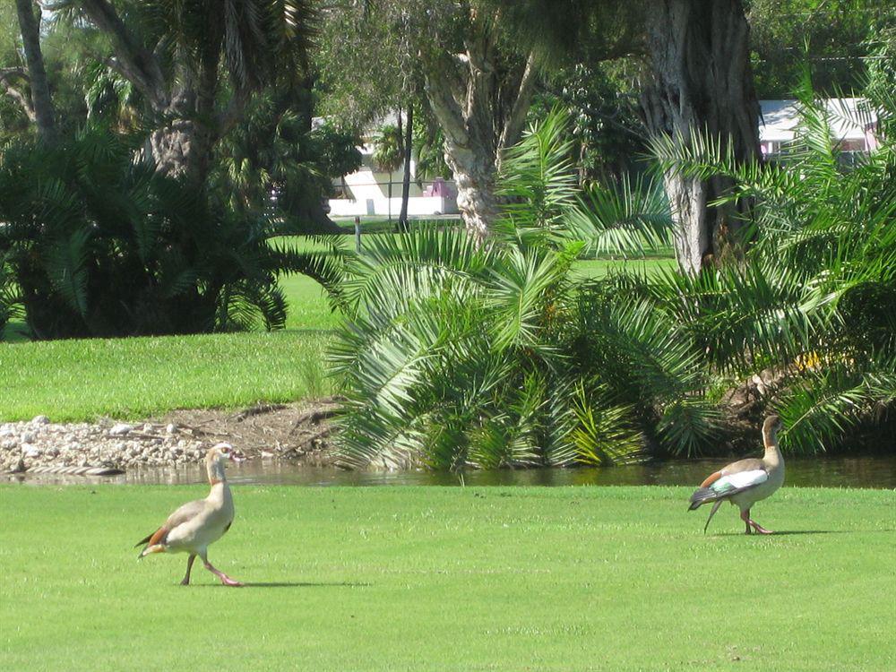 Hollywood Beach Golf Resort Экстерьер фото